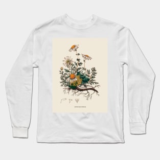 Camomile Antique Botanical Illustration Long Sleeve T-Shirt